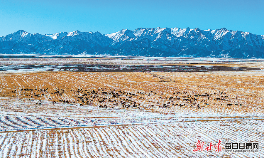 陕西汽车控股集团有限公司